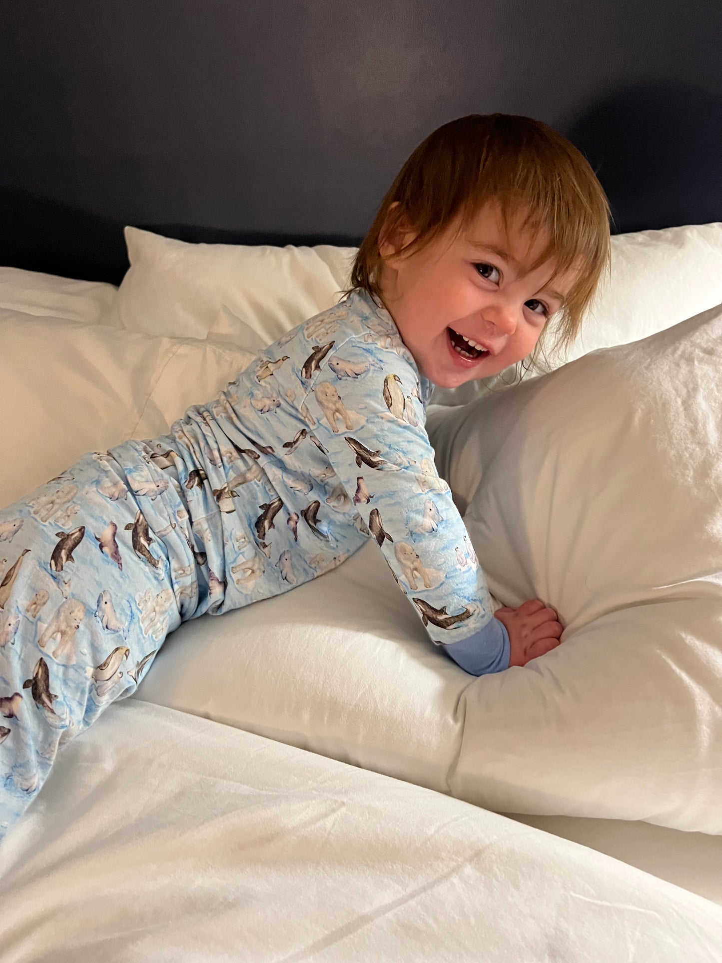 Arctic Sea Life - 2 piece Snug Set