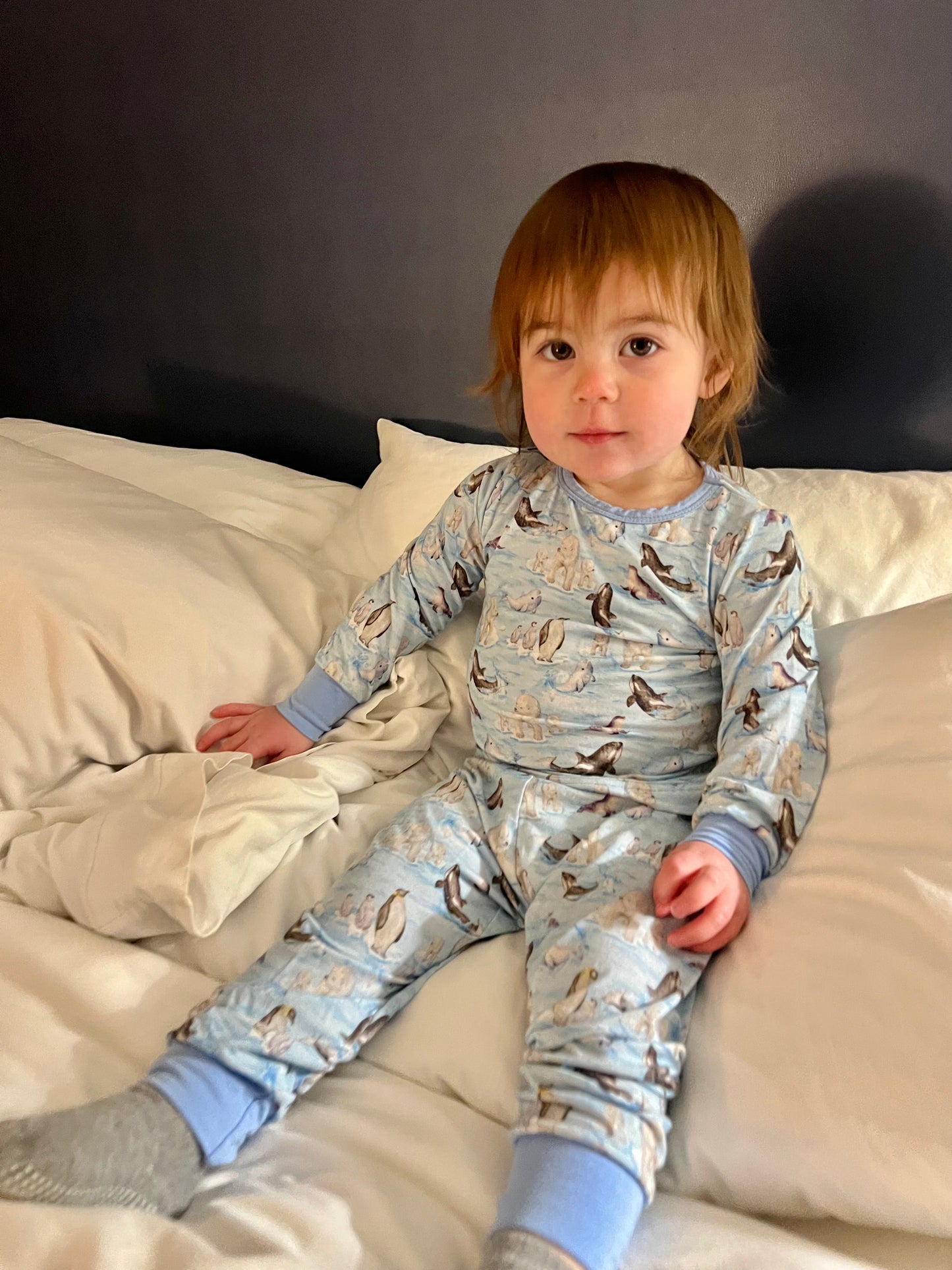 Arctic Sea Life - 2 piece Snug Set