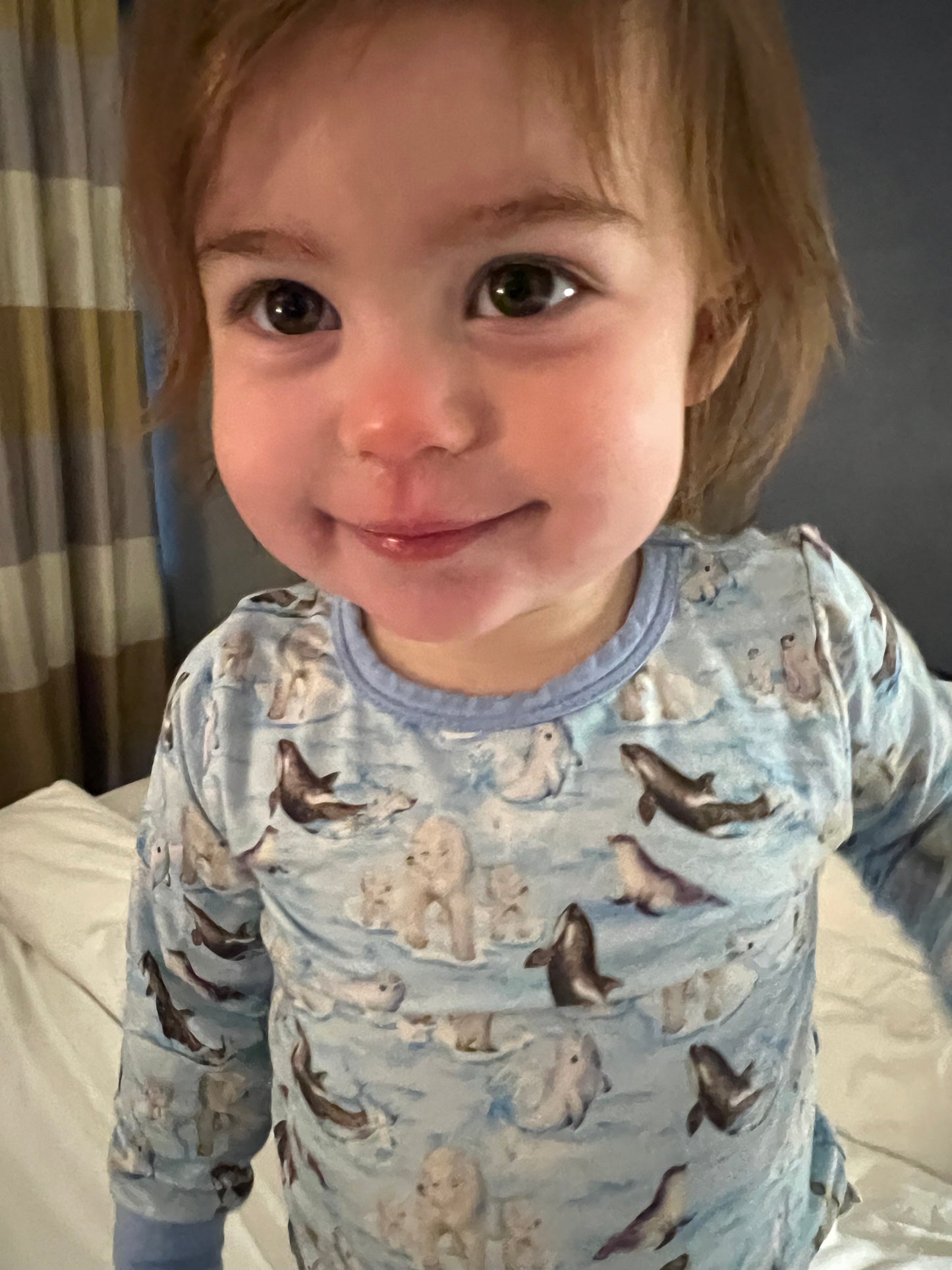 Arctic Sea Life - 2 piece Snug Set