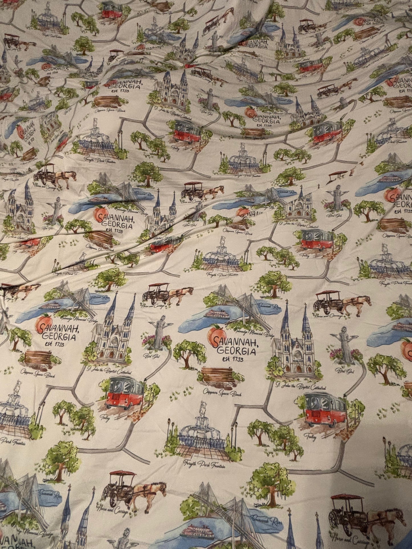 Sweet Southern Savannah Quilt