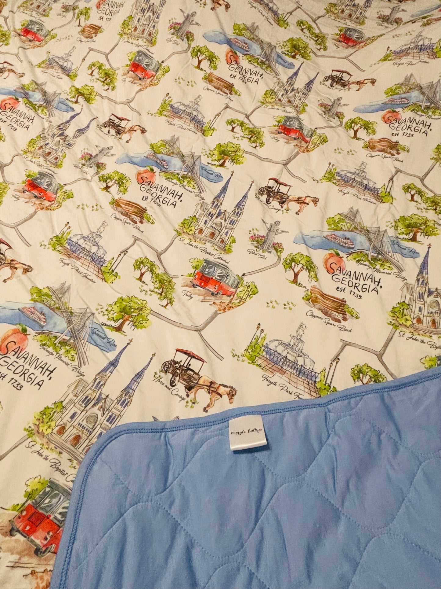 Sweet Southern Savannah Quilt